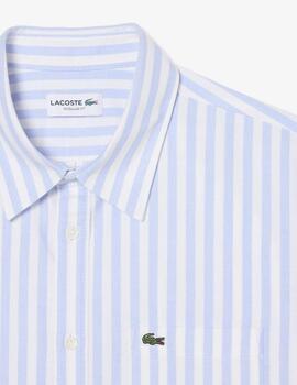 Camisa Lacoste Rayas Celeste Hombre