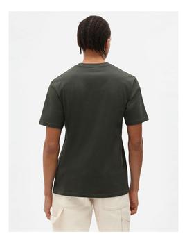 Camiseta Dickies SS Mapleton Verde