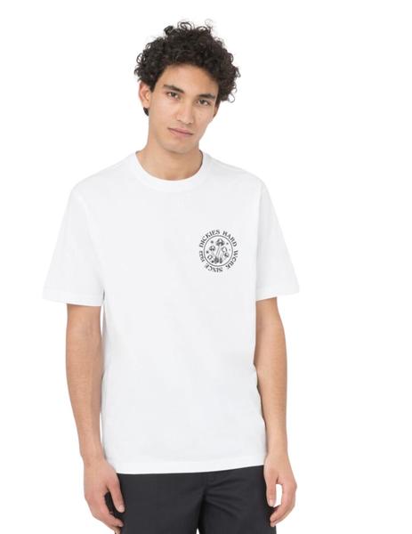 Gallery a03689 runp0gia
