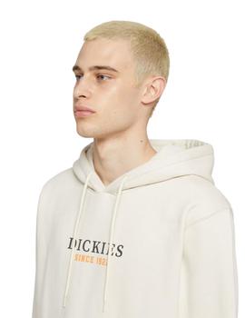 Sudadera Dickies Park Hoodie Beige hombre