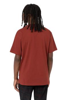 Camiseta Dickies Luray Pocket Tee Teja