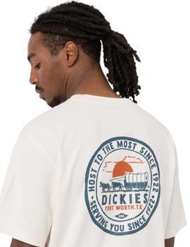 Camiseta Dickies Greensburg Tee SS Beige hombre