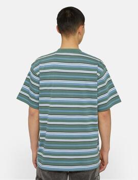 Camiseta Dickies Glade Spring Tee S  Verde/Azul hombre