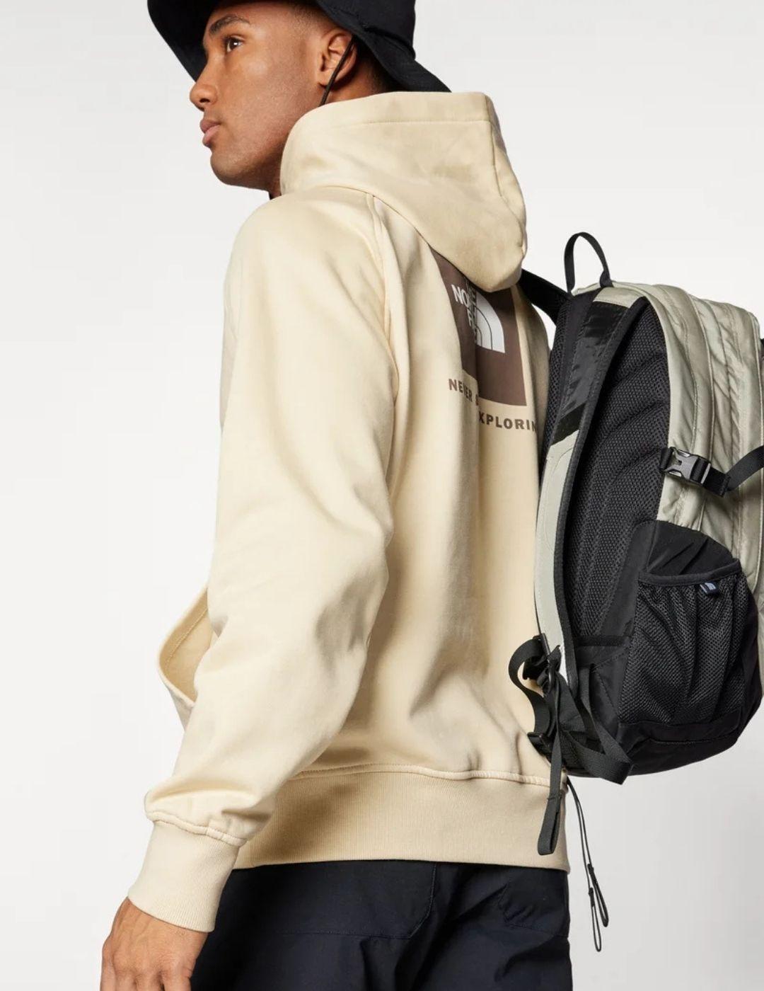 Sudadera The North Face Raglan Box Nse Beige hombre