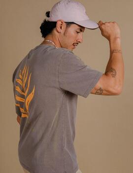 Camiseta Trendsplant Confitera  Marrón hombre