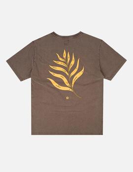 Camiseta Trendsplant Confitera  Marrón hombre