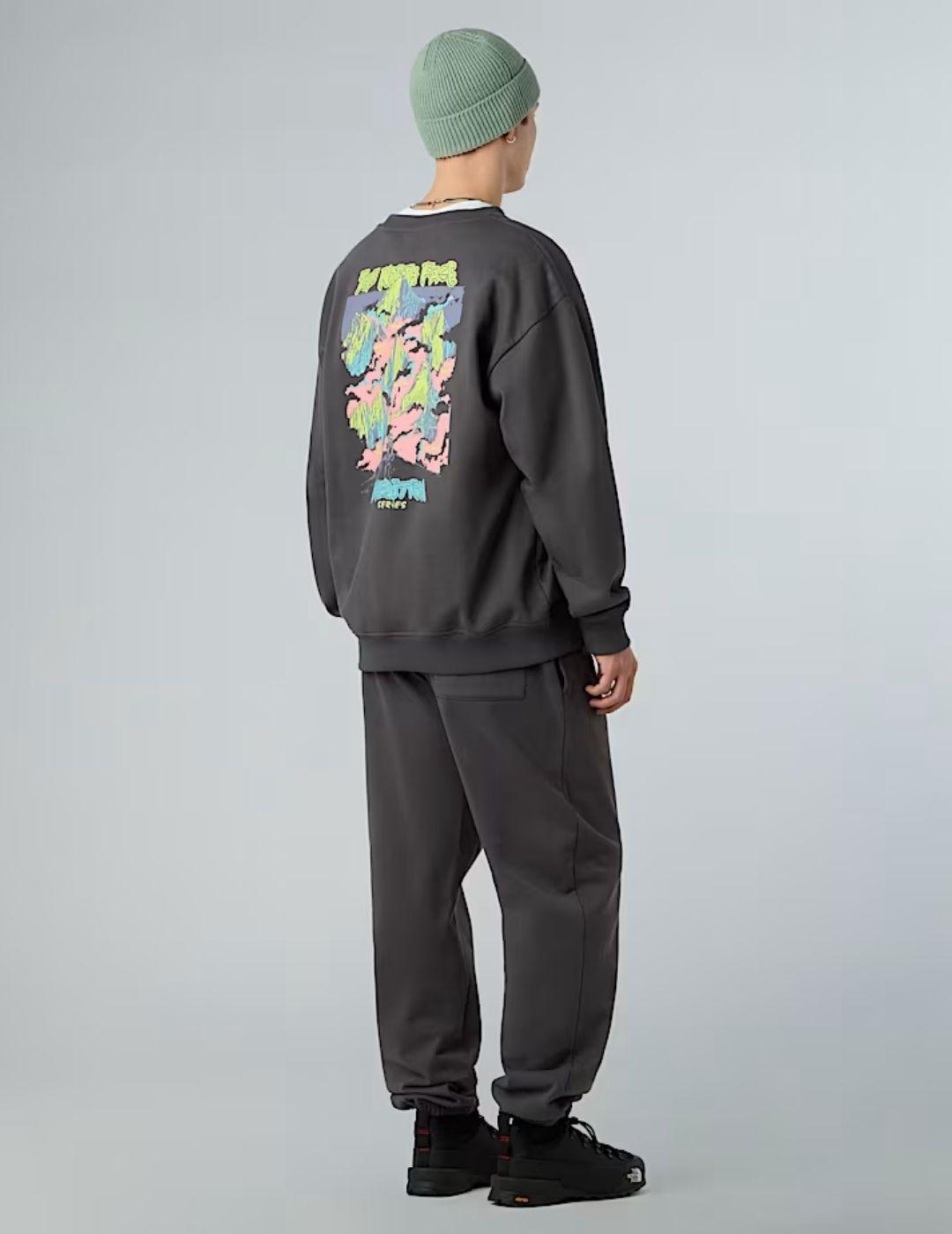Sudadera Expedition Celebration Gris Unisex
