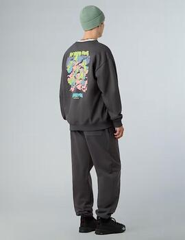 Sudadera Expedition Celebration Gris Unisex