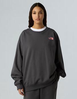 Sudadera Expedition Celebration Gris Unisex