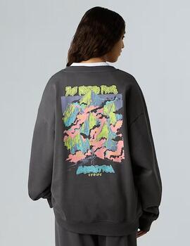 Sudadera Expedition Celebration Gris Unisex