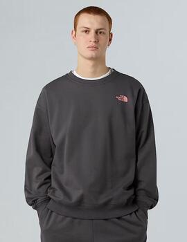 Sudadera Expedition Celebration Gris Unisex