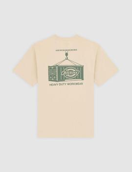 Camiseta Dickies  Beige Apison Hombre