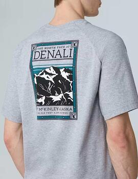Camiseta The North Face TEE Gris Unisex