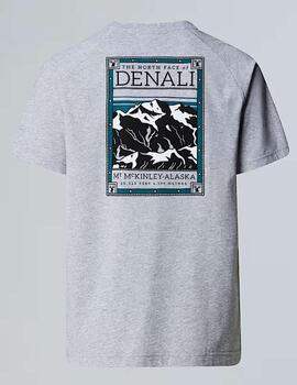 Camiseta The North Face TEE Gris Unisex