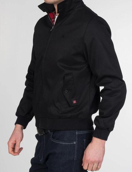 Gallery a05675 ybfbaita