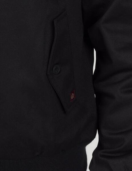 Gallery a05675 xmaplooz