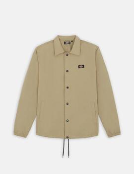 Parka Dickies Oakport Coach Beige Hombre