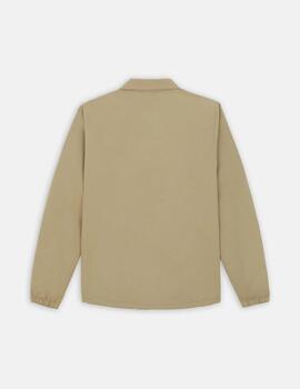 Parka Dickies Oakport Coach Beige Hombre