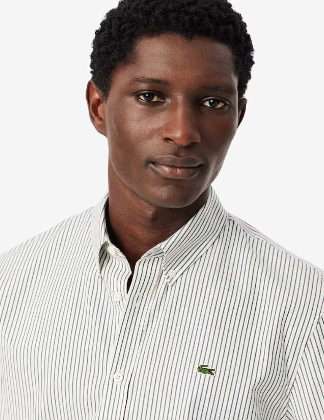 Camisa Lacoste Popelin Rayas Regular Verde Hombre