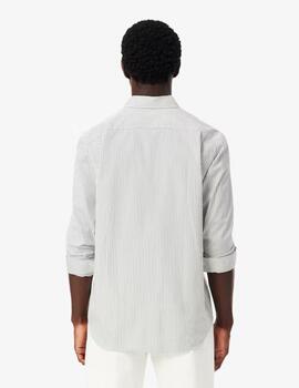 Camisa Lacoste Popelin Rayas Regular Verde Hombre