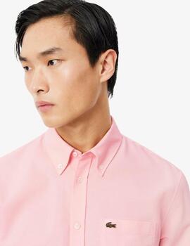 Camisa Lacoste Oxford Regular Rosa Hombre