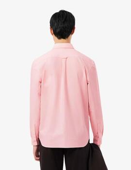 Camisa Lacoste Oxford Regular Rosa Hombre